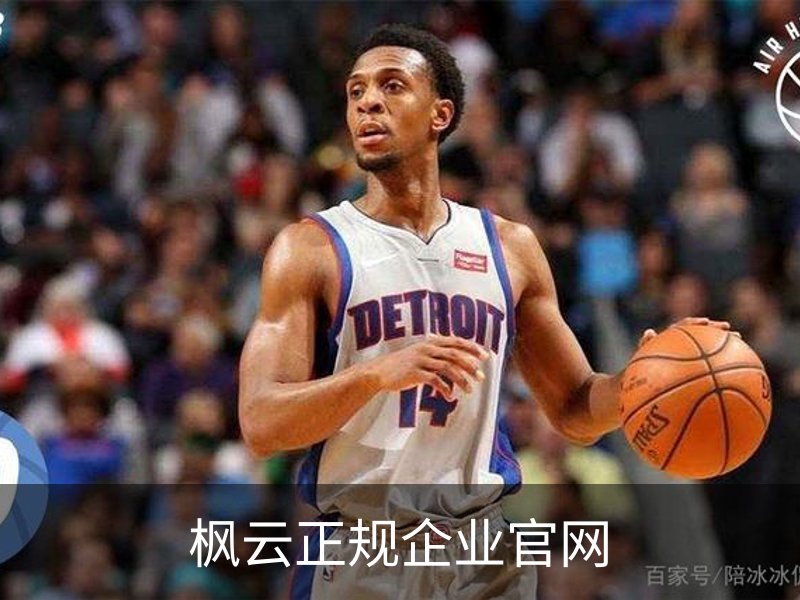 了解枫云正规企业官网